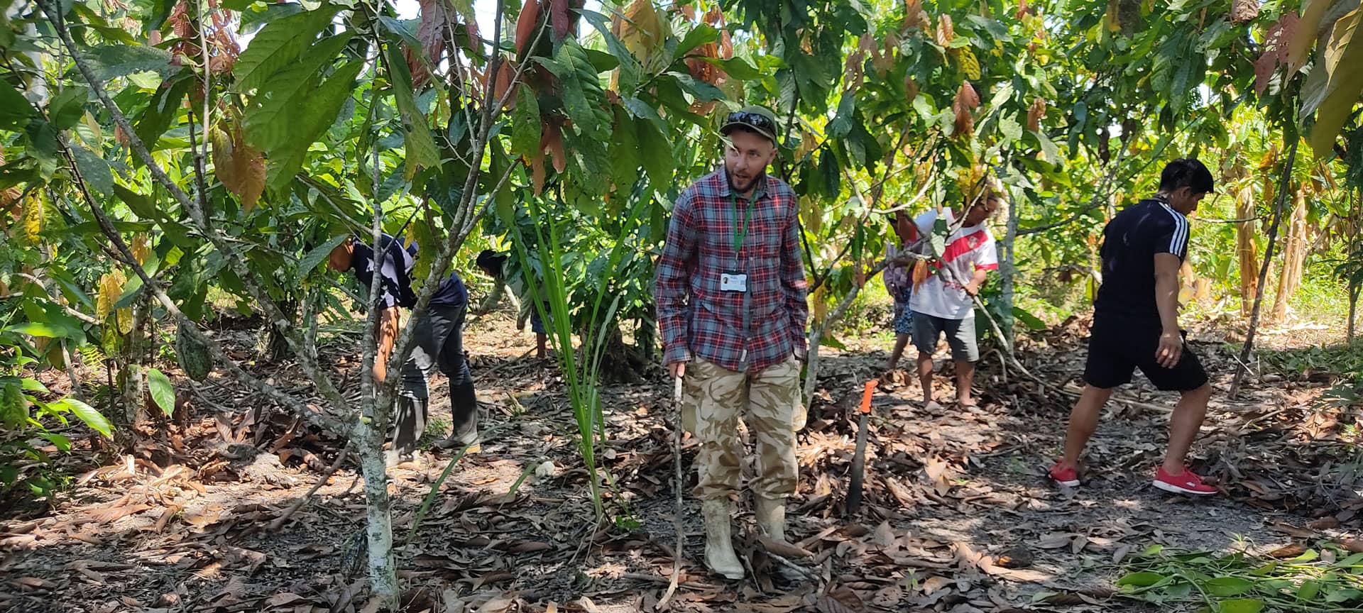 Projects - Vanilla Pompona Beans for sale